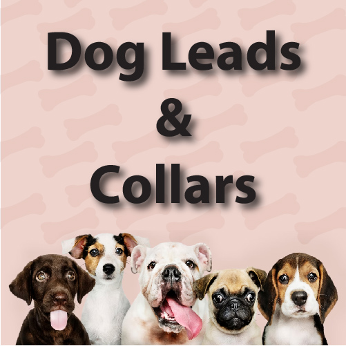Dog Leads and C